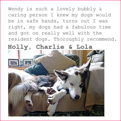 Thank you from Charlie and Lola