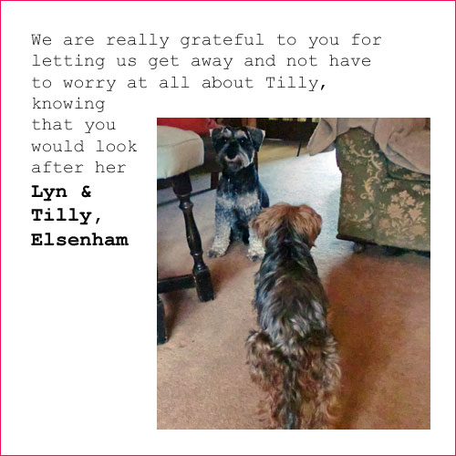 thank you from Tilly